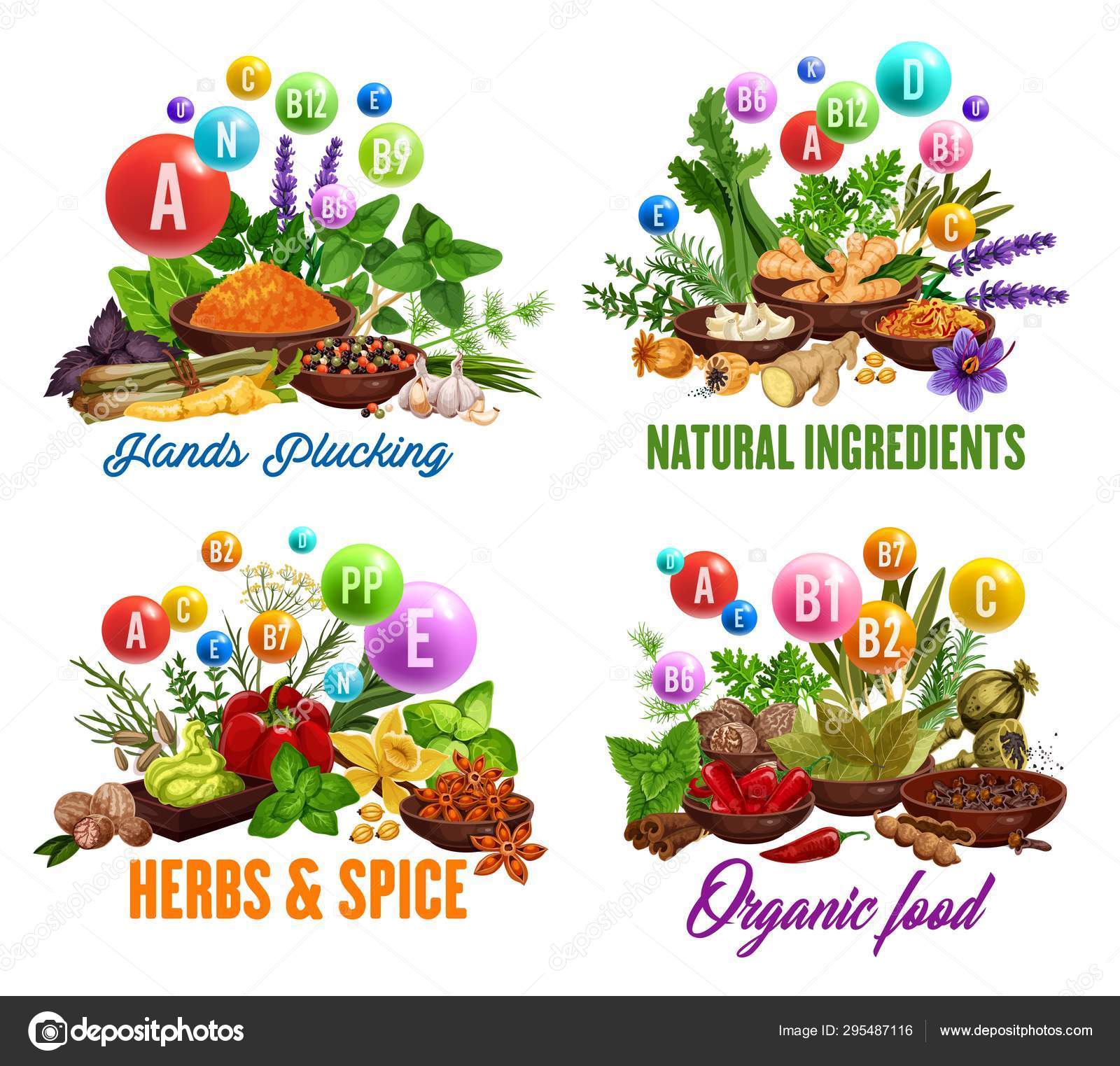Herbs and spices, organic cooking ingredients shop Stock Vector Image