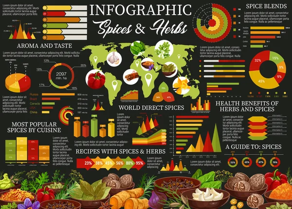 Erbe e spezie, ingredienti da cucina infografica — Vettoriale Stock