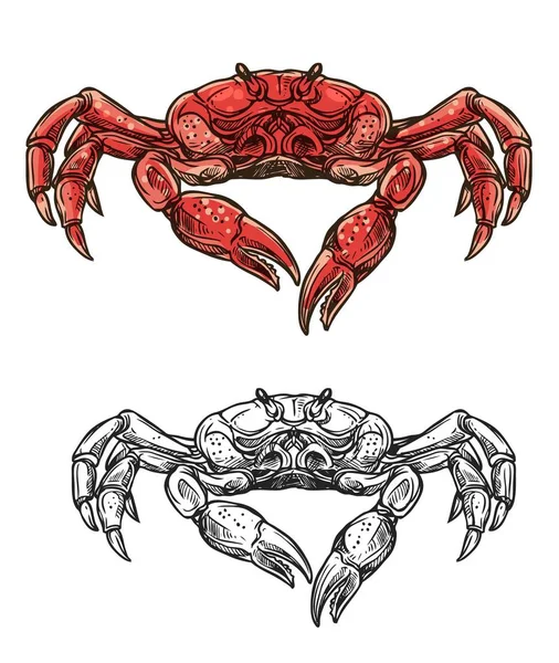 Crabe des fruits de mer, croquis des crustacés marins — Image vectorielle