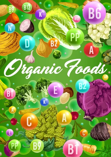 Organic vegetarian vegetables and vitamins — Stock Vector