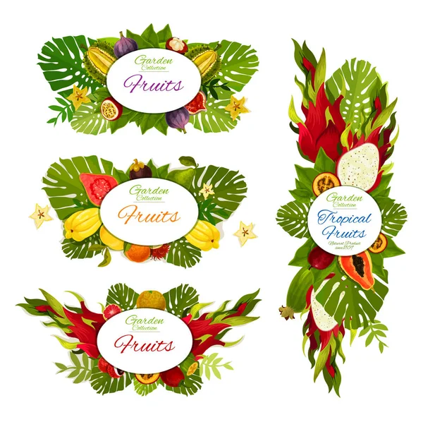 Fruits exotiques figues, papaye, durian et dragonfruit — Image vectorielle