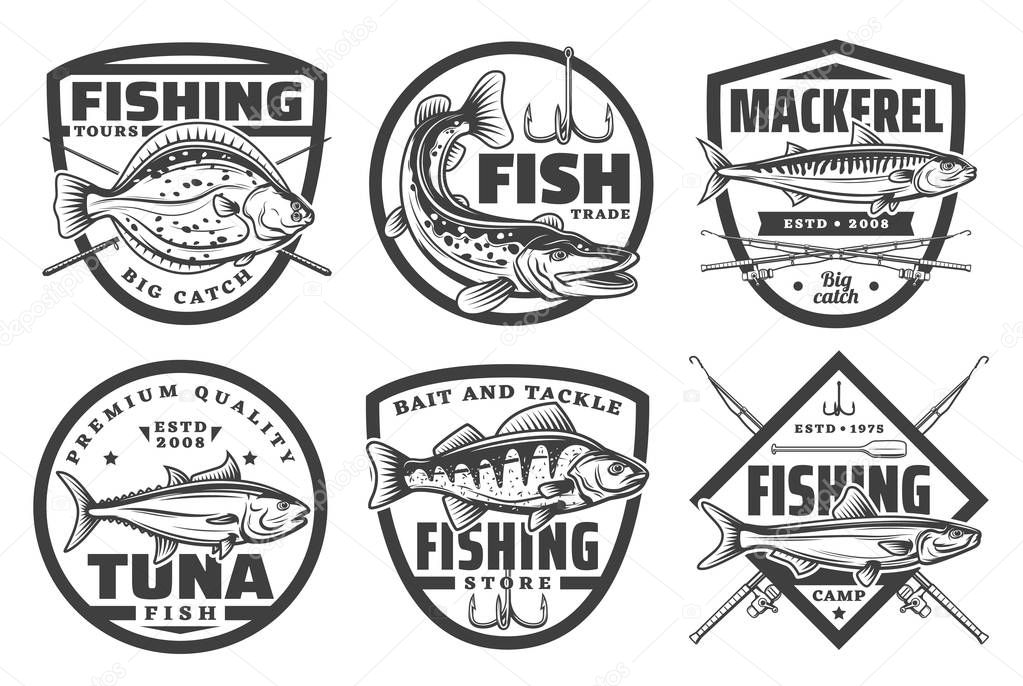 Fishing camp club, fisherman fish catch tours and tackles equipment store icons. Vector sea and ocean fishing trips, baits and rods for flounder, mackerel or pike and tuna fish catch on rod hook