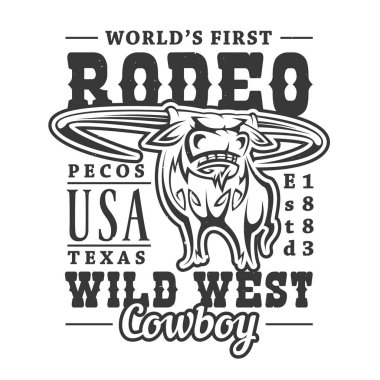 Vahşi Batı, Batı Amerika rodeo boğası