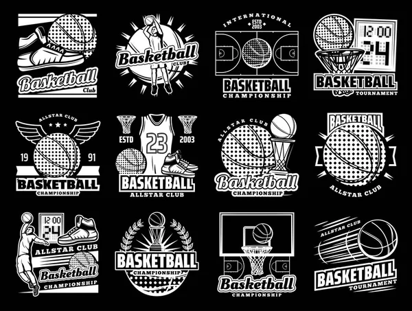 Insignias deportivas de baloncesto, torneo de equipo — Vector de stock