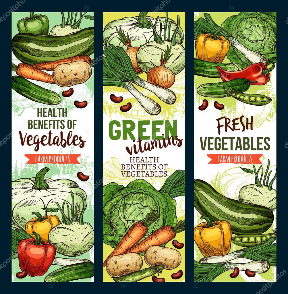 Healthy green food vitamins, farm vegetables