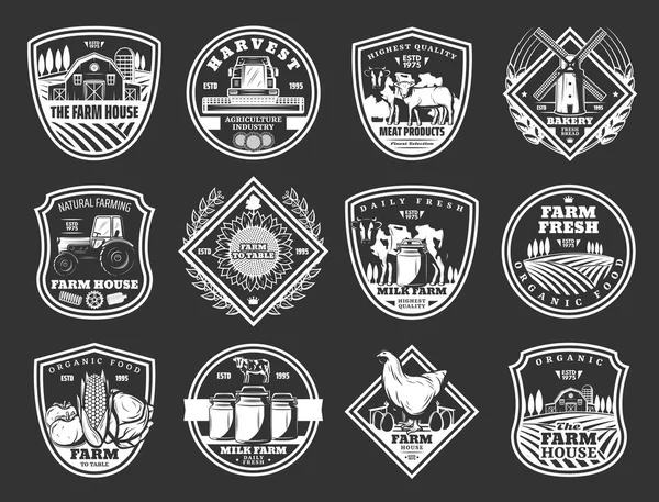 Cattle farm, agriculture, meat and dairy icons — Stock Vector