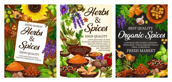 Ervas e especiarias, condimentos à base de plantas —  Vetores de Stock