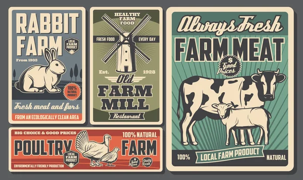 农场食品、牛和家禽养殖 — 图库矢量图片