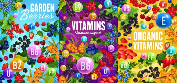 Vitaminer och naturliga bär, Super Food — Stock vektor