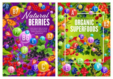 Orman bahçe meyveleri, organik vitaminler superfood