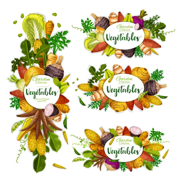 Exotic veggies frame, organic vegetables — Stock Vector