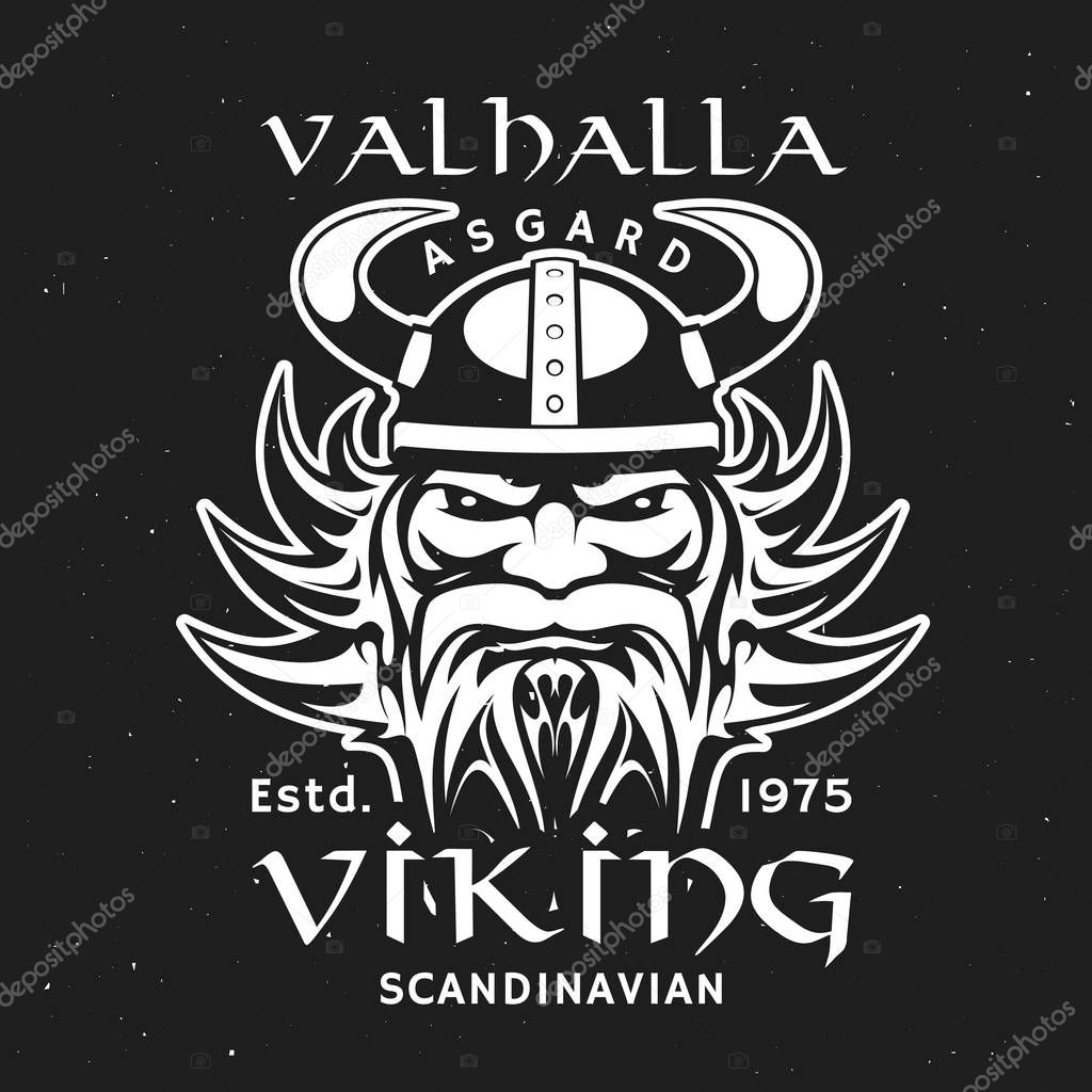 Viking head in horned helmet, Valhalla Asgard
