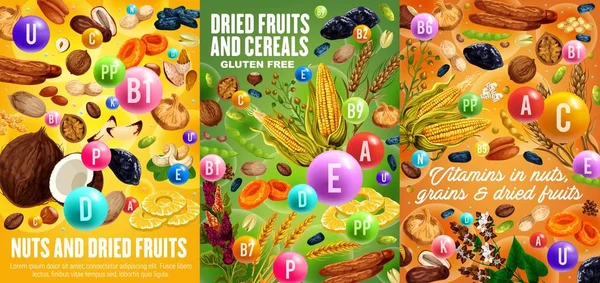 Dried fruits, nuts and cereals, vitamins — Stockvector