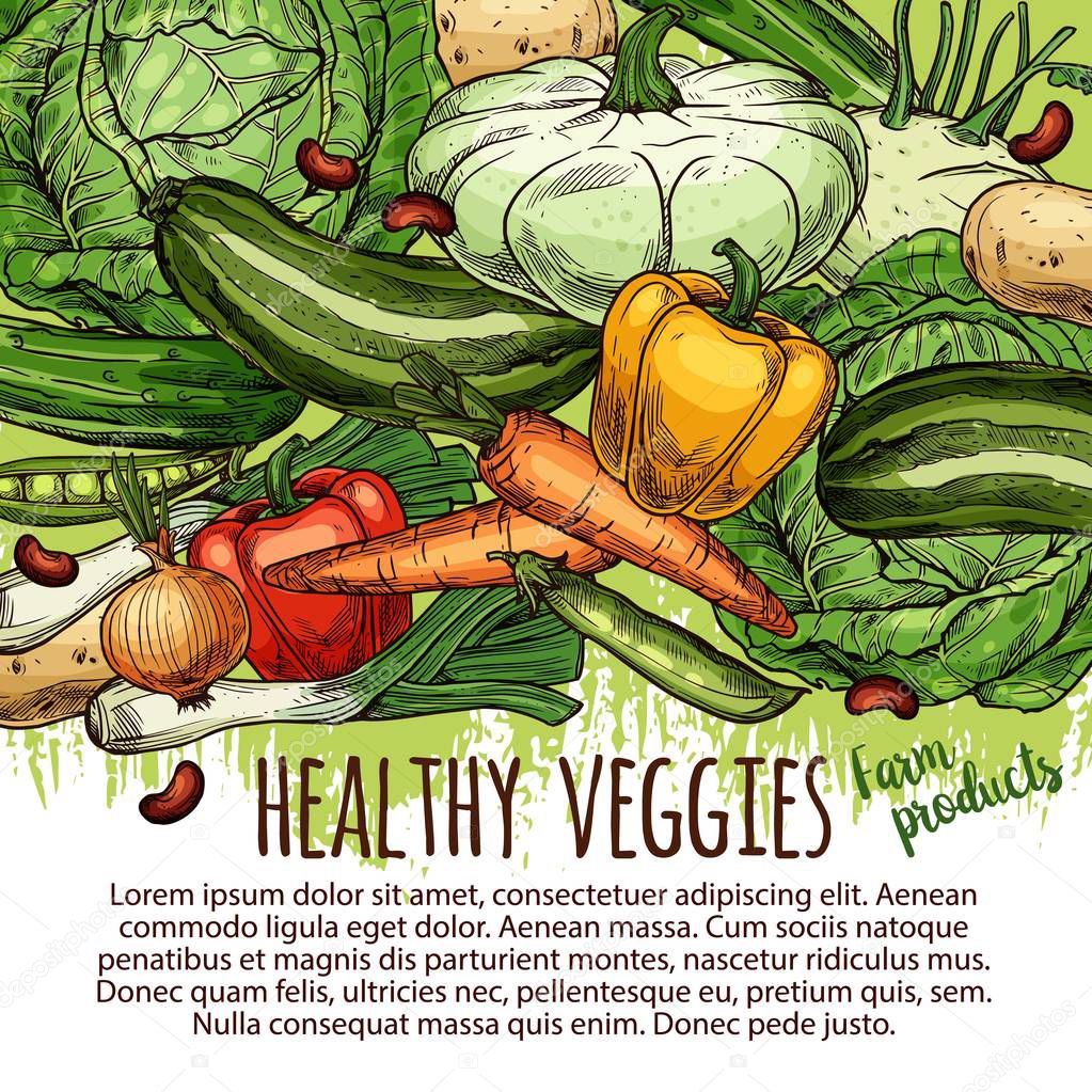 Vector veggies and farm products