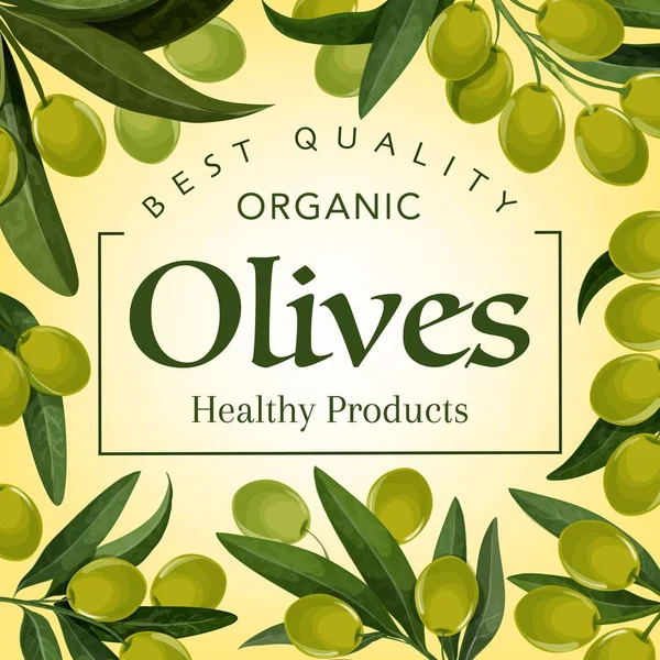 Najwyższa jakość zdrowych produktów z oliwek — Wektor stockowy