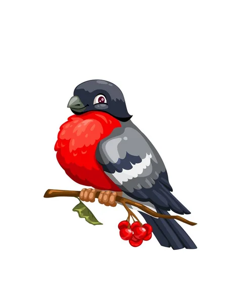 Bullfinch bird on viburnum branch with red berries — Stock Vector