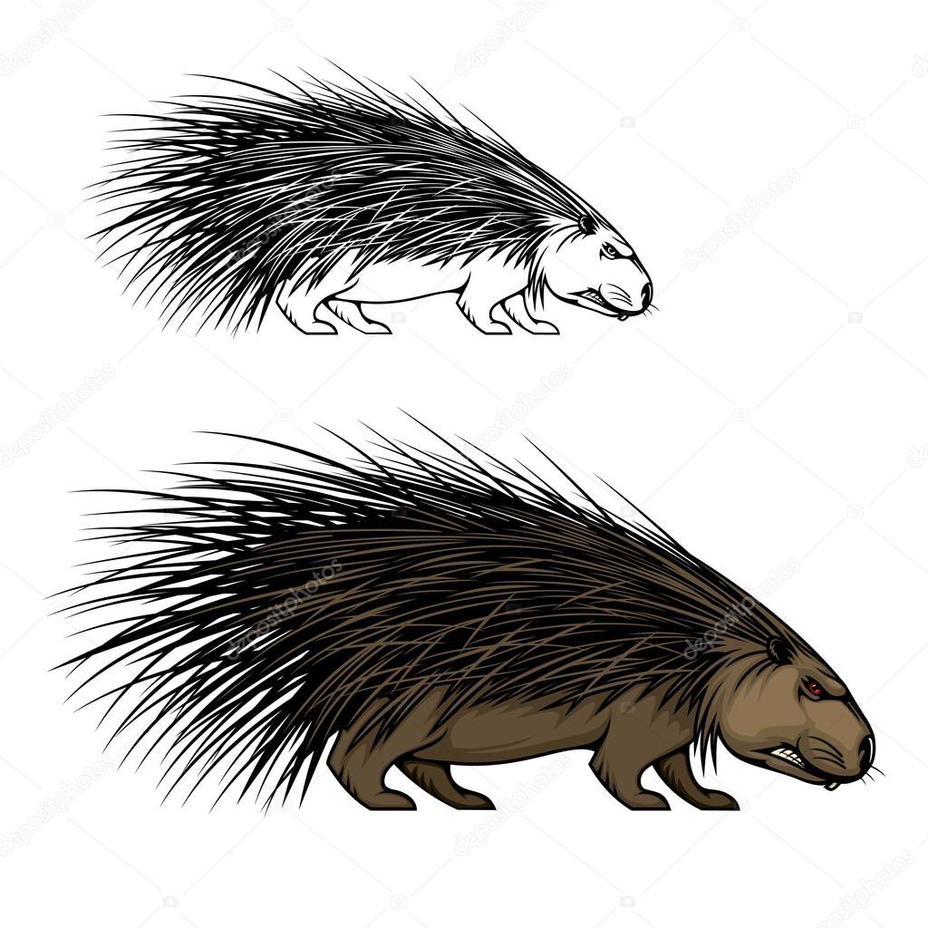 Porcupine animal mascot. Wild forest hedgehog icon