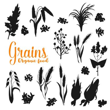 Tohumlar ve taneler izole edilmiş siluetler