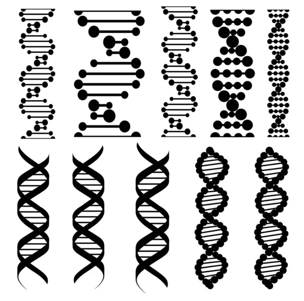 Genetic code, twisted DNA molecules — Stock Vector
