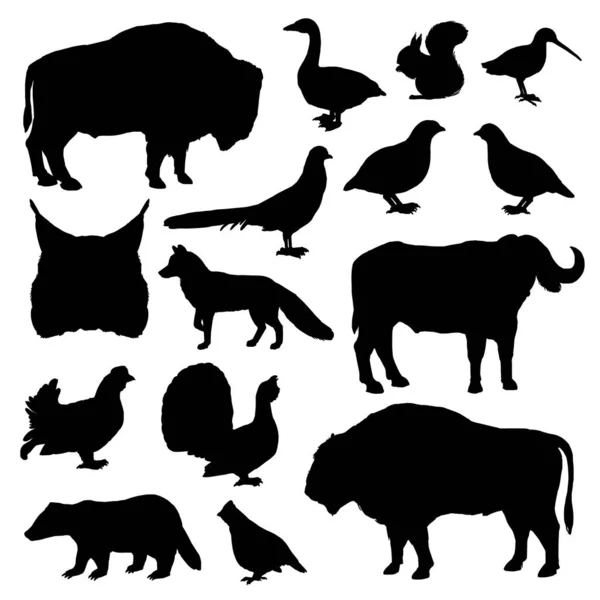 Caza de aves y animales, siluetas negras — Vector de stock