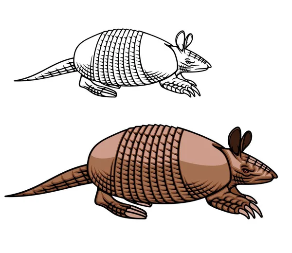 Armadillo mascot, animal with armoured shell icon — Stock Vector