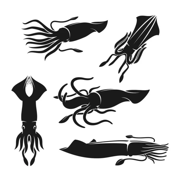 Inktvissen, zeeweekdieren of schelpdieren. Zeedieren — Stockvector