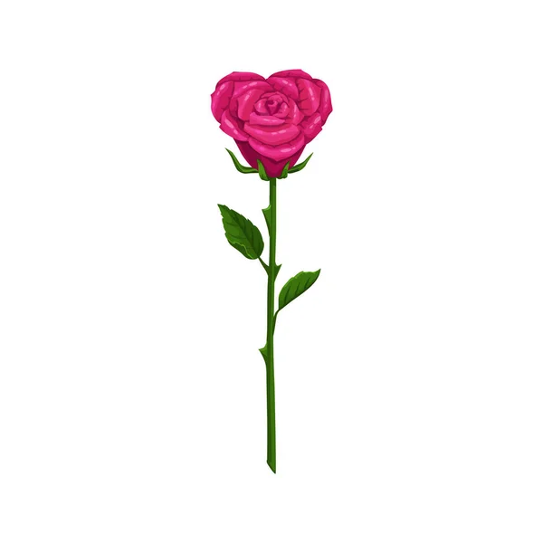 Forma de corazón rosa flor aislada — Vector de stock