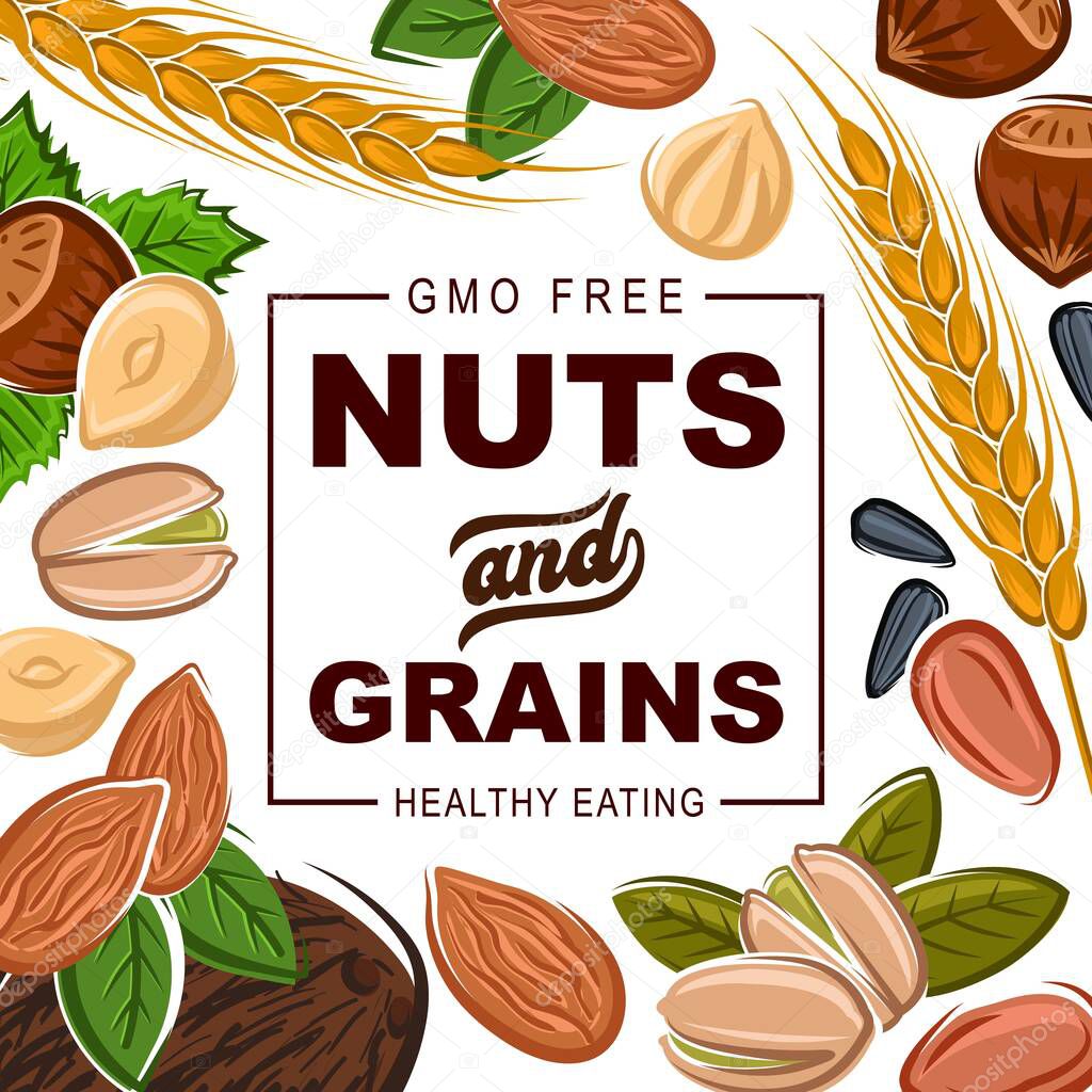 Healthy organic nuts and cereal grains