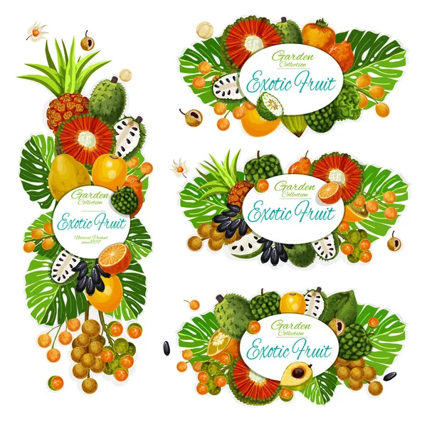 Exotische tropische Früchte und Blätter Banner — Stockvektor