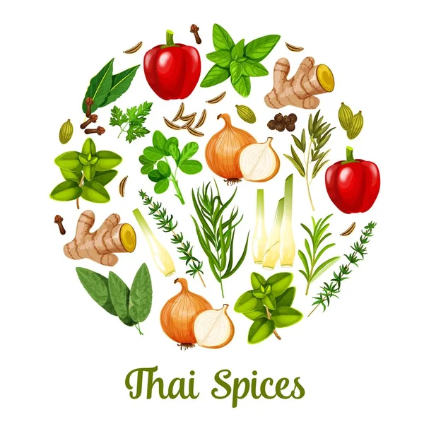 Thailändische Kräuter und Gewürze Kochen Zutaten — Stockvektor