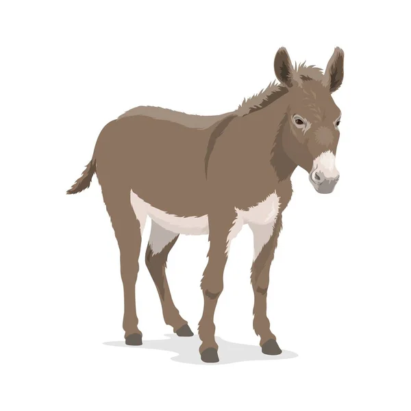 Burro, mula o culo, animal de granja, bestia de carga — Archivo Imágenes Vectoriales