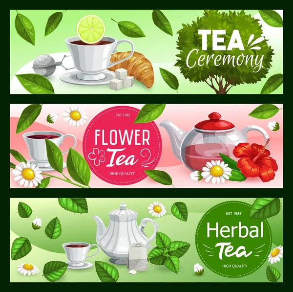 Tea cups, teapots and leaves with sugar, teabags — Stock Vector