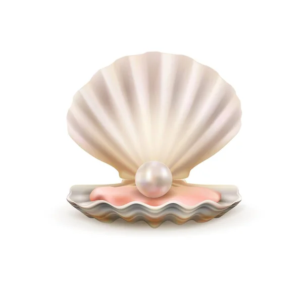 Pearl in open shells of scallop seashell 3d vector — Stock Vector