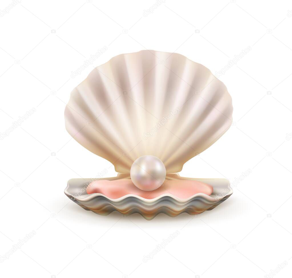 Pearl in open shells of scallop seashell 3d vector