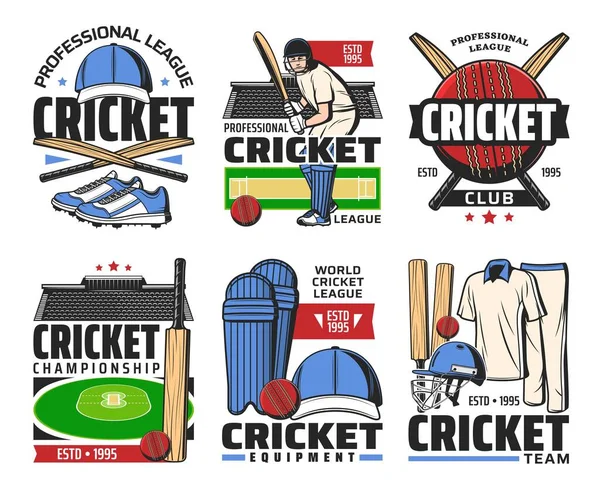 Cricket Sport Icons Vector Game Balls Bats Stadium Play Fields — Stock Vector