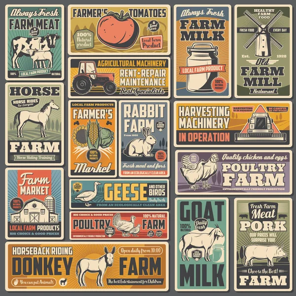 Сельскохозяйственные Ретро Плакаты Векторными Сельскохозяйственными Животными Тракторами Коровниками Полями Овощными — стоковый вектор