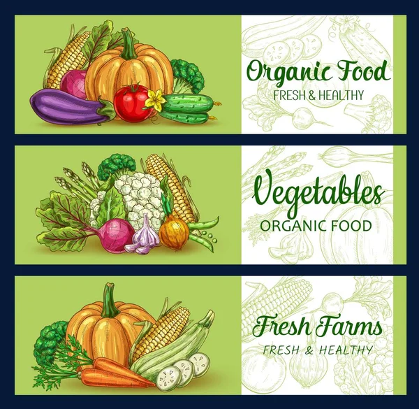 Verduras Banderas Bocetos Alimentos Granja Verduras Jardín Vectores Zanahoria Fresca — Vector de stock