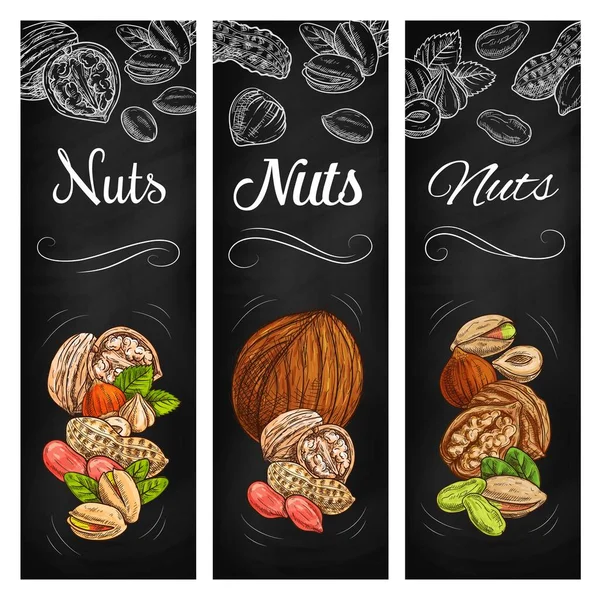 Nut Legume Bean Sketch Chalkboard Banners Vector Super Food Peanut — Stock Vector