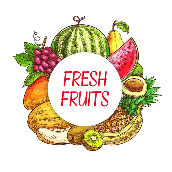 Fresh Fruits Sketch Poster Farm Market Tropical Garden Vector Harvest — Stock Vector
