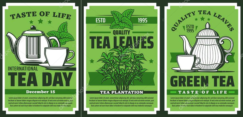 Green tea leaves, hot drink cup and pot, vector retro poster and package design. Handpicked premium Indian Ceylon or Chinese Yunnan green tea leaves brewing in kettle and porcelain cup