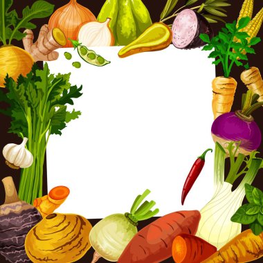 Sebze ve yeşil salata tarifi kartı. Sebzeli ve otlu vektör beyaz kağıt. Soğan ve sarımsak, geniş fasulye, şalgam ve manyok, kereviz, fesleğen ve biber.