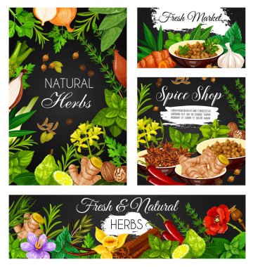 Spices, seasonings and herbs vector banner. Garlic and peppermint, ginger and turmeric, anise, cumin, cardamon and coriander, chili, peppercorns, saffron and vanilla flower condiment, flavoring, spice clipart