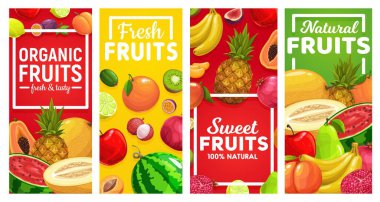 Olgun meyve vektör dikey pankartlar. Tropik meyve tarlası kireç ve limon, marakuya, karpuz ve kavun, ananas ve muz, likör, nar, kivi ve papaya, şeftali ve portakal.