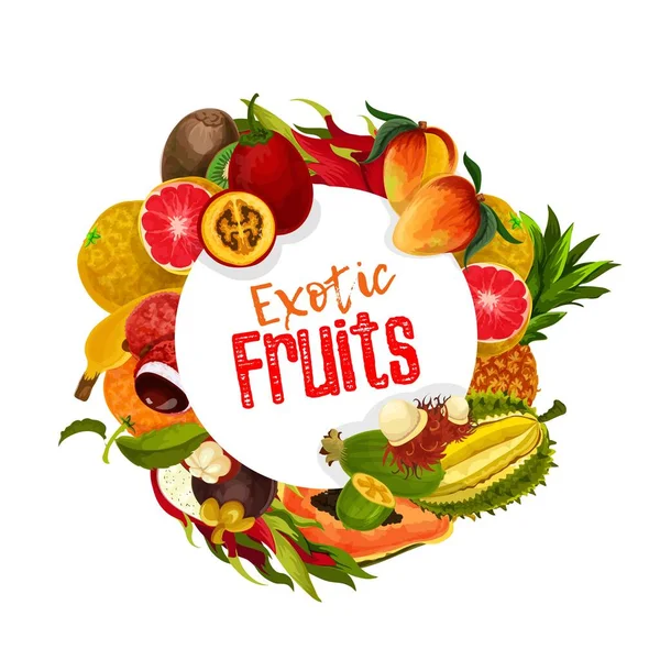 Frutas Tropicais Exóticas Banner Vetor Redondo Tamarillo Inteiro Fatiado Mangostão — Vetor de Stock