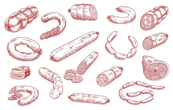 Sausages Meat Products Vector Sketch Set Inglés Salami Rodajas Chorizo — Archivo Imágenes Vectoriales