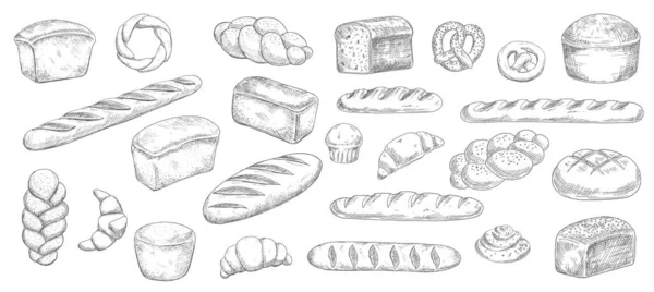面包和烘焙食品草图 雕刻的病媒糕点 烤面包 黑麦面包 羊角面包和椒盐卷饼 辫子面包 纸杯蛋糕和法式面包 雕刻店面包草图 — 图库矢量图片