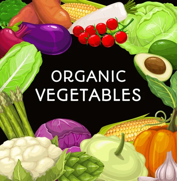 Kerangka Vektor Makanan Sayuran Pertanian Brokoli Dan Kembang Kol Ubi - Stok Vektor