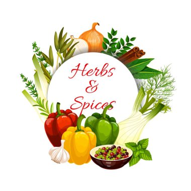 Vektör gıda baharatları ve sebze soslu bitkiler. Yeşil fesleğen, biber, kekik, dereotu, sarımsak ve dolma biber, defne yaprağı, soğan, tarçın ve rezene, soğan, kakule