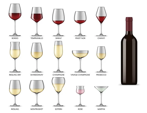 Tipos Copos Vinho Copos Bebida Álcool Vinho Branco Tinto Conjunto — Vetor de Stock