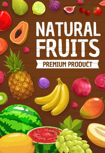 Trópusi Kerti Gyümölcsök Mezőgazdasági Piaci Betakarítás Vektor Ananász Banán Görögdinnye — Stock Vector